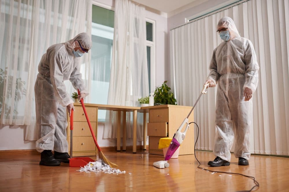 Wir helfen dir, professionelle Gebäudereiniger zu finden - Listando