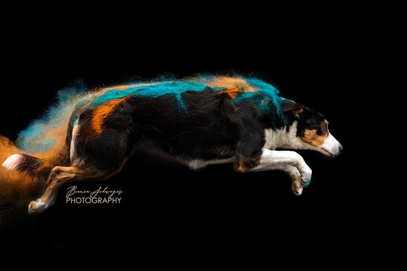 user-upload/business/work-media/7r993uoaeobxclkfd5c34_bianca-schweyer-photography-.jpeg