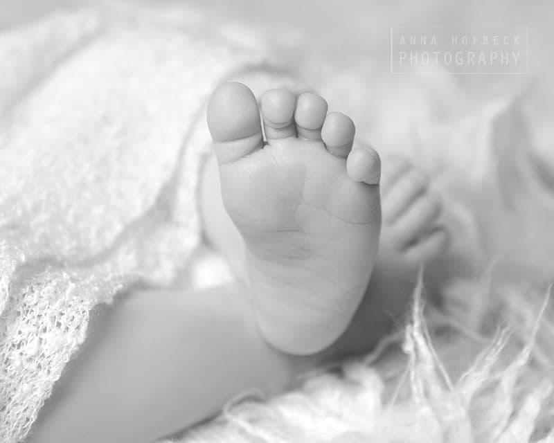 user-upload/business/work-media/huy0ujnfcu9ybtriveaeyk_anna-hofbeck-photography.jpeg